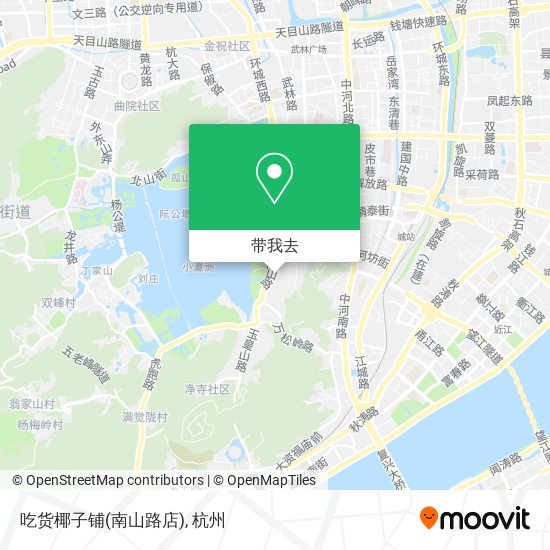 吃货椰子铺(南山路店)地图