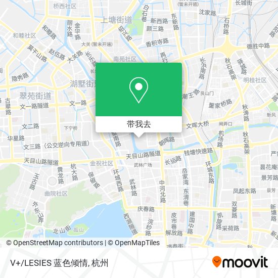 V+/LESIES 蓝色倾情地图