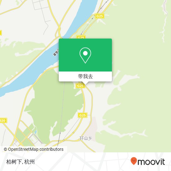 柏树下地图