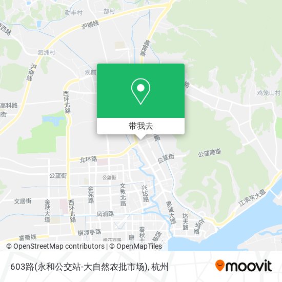 603路(永和公交站-大自然农批市场)地图