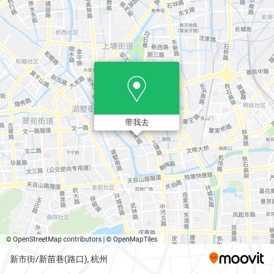 新市街/新苗巷(路口)地图