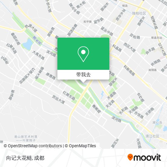 向记大花鲢地图