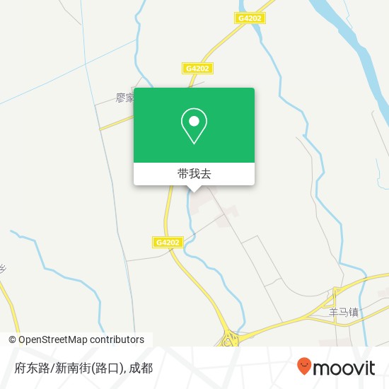 府东路/新南街(路口)地图