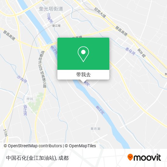 中国石化(金江加油站)地图