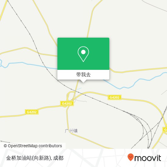 金桥加油站(向新路)地图