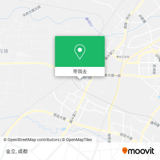 金立地图