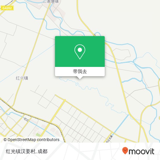 红光镇汉姜村地图