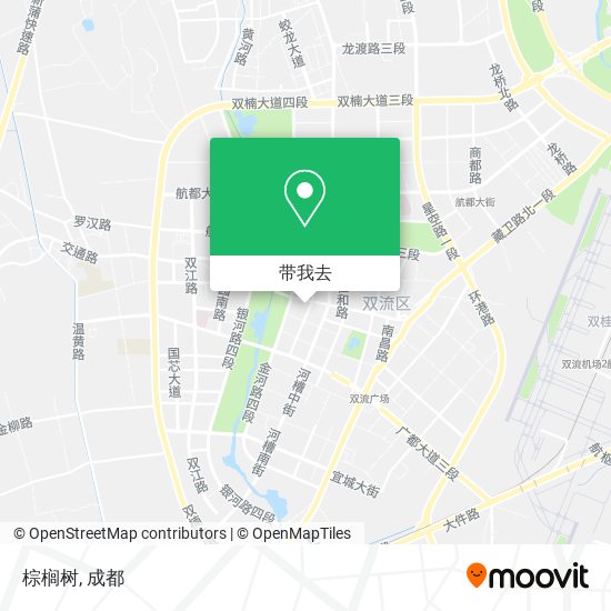棕榈树地图