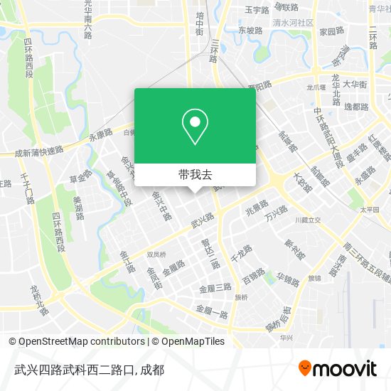 武兴四路武科西二路口地图