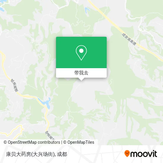 康贝大药房(大兴场街)地图