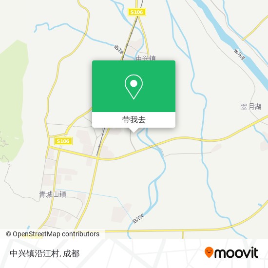 中兴镇沿江村地图