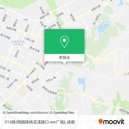 313路(桃园路桃花溪路口-sm广场)地图