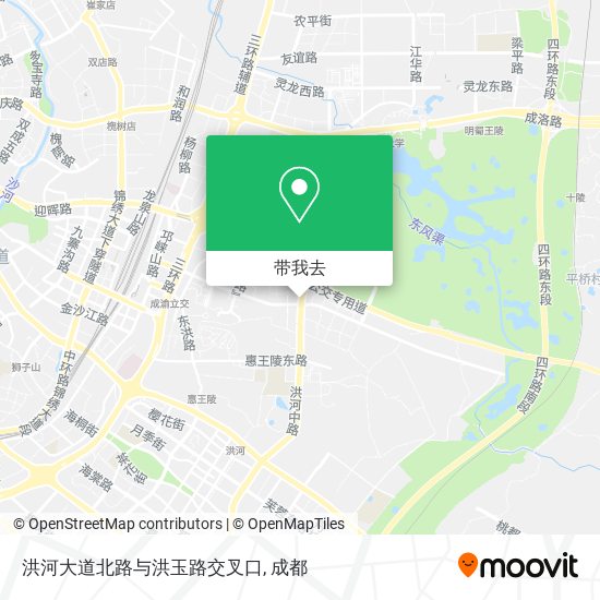 洪河大道北路与洪玉路交叉口地图