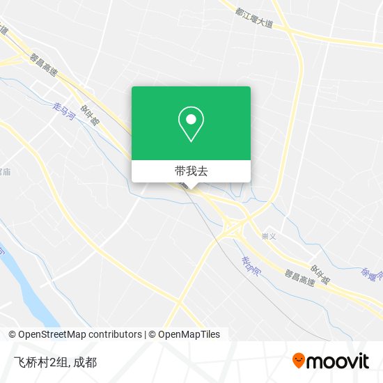 飞桥村2组地图