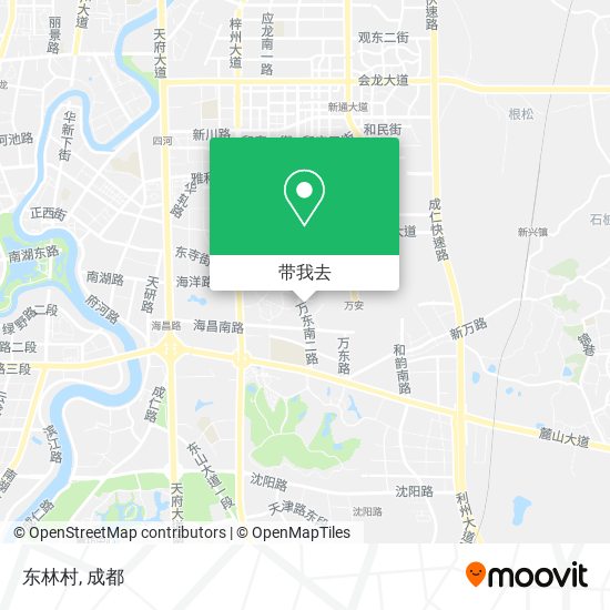 东林村地图