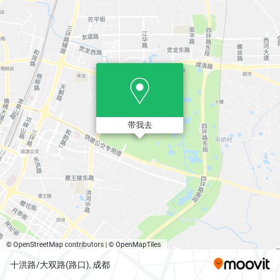 十洪路/大双路(路口)地图