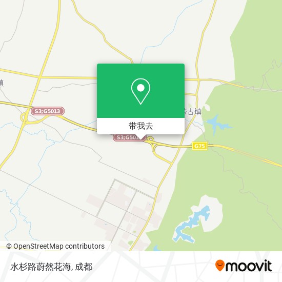 水杉路蔚然花海地图