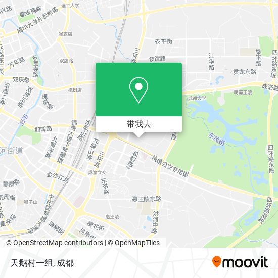 天鹅村一组地图