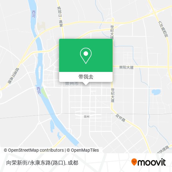 向荣新街/永康东路(路口)地图