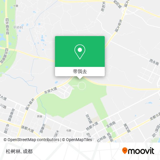 松树林地图