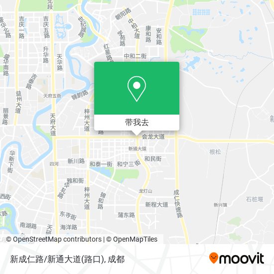 新成仁路/新通大道(路口)地图