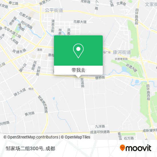 邹家场二组300号地图