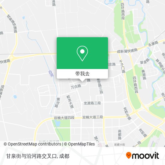 甘泉街与沿河路交叉口地图