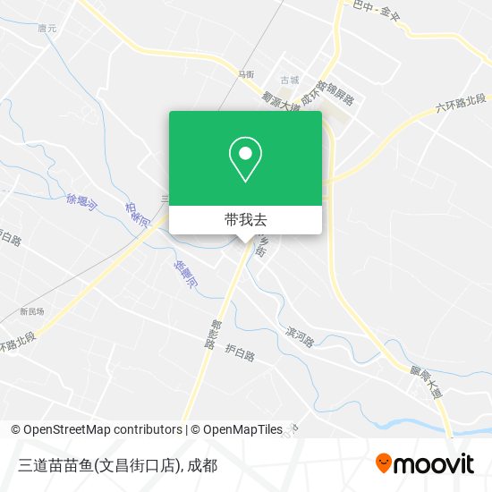 三道苗苗鱼(文昌街口店)地图
