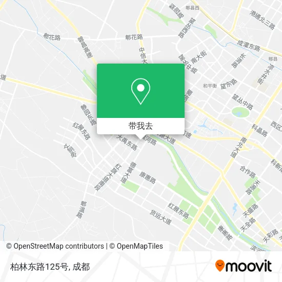 柏林东路125号地图