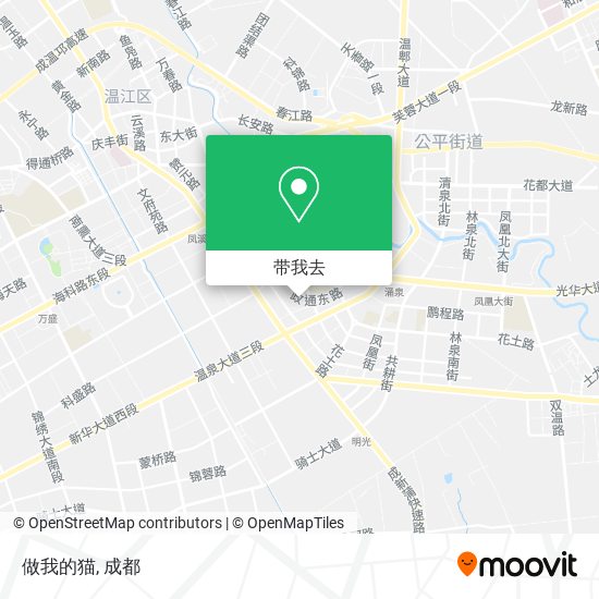 做我的猫地图