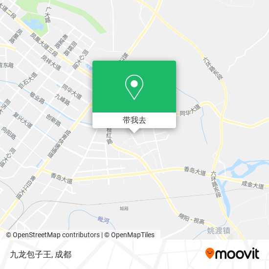 九龙包子王地图