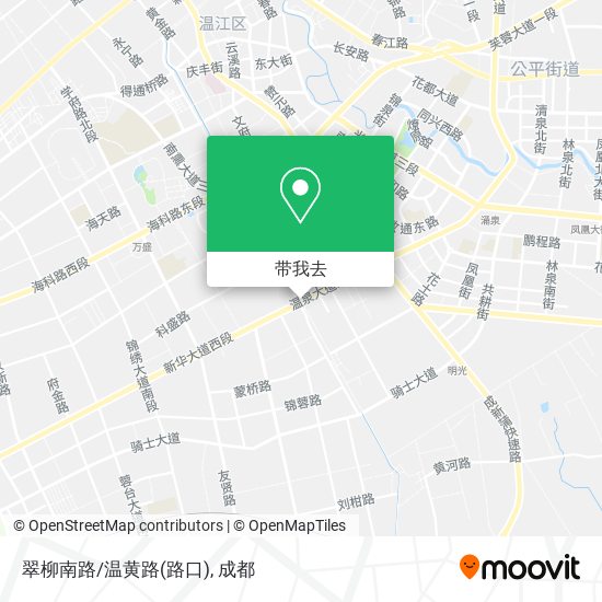 翠柳南路/温黄路(路口)地图
