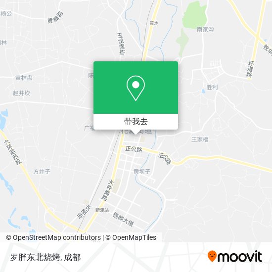 罗胖东北烧烤地图