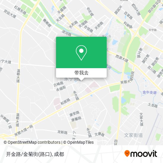 开金路/金菊街(路口)地图