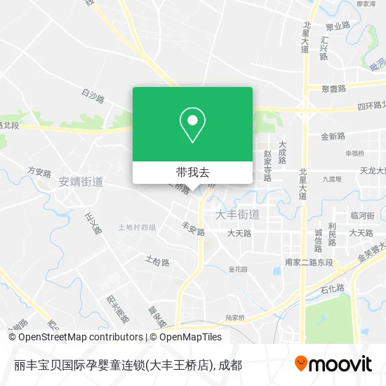 丽丰宝贝国际孕婴童连锁(大丰王桥店)地图
