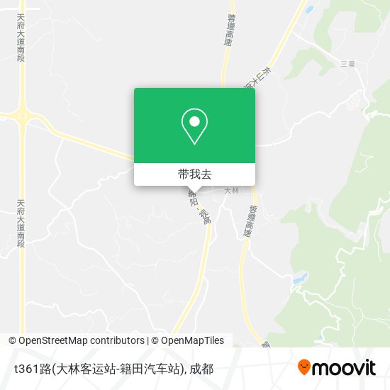 t361路(大林客运站-籍田汽车站)地图