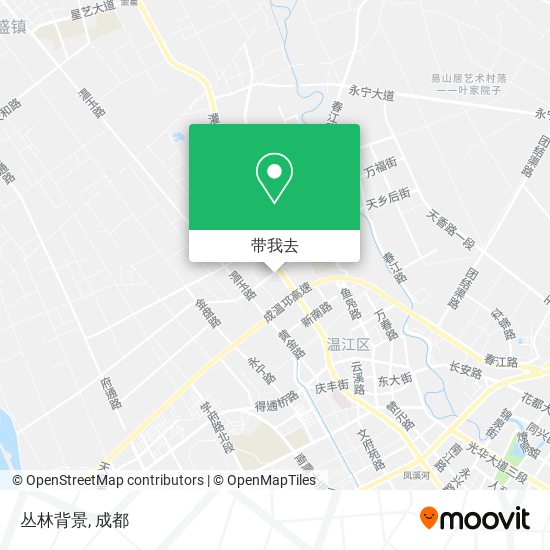 丛林背景地图
