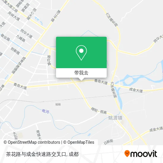 茶花路与成金快速路交叉口地图