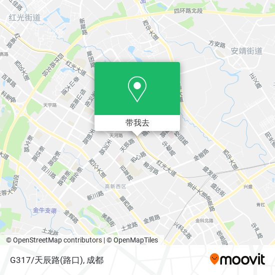 G317/天辰路(路口)地图