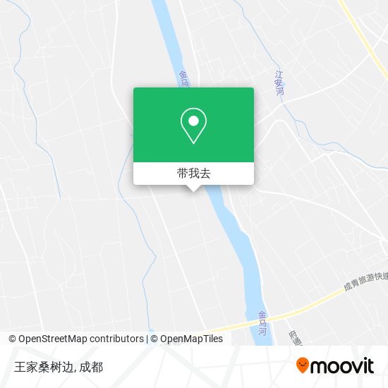 王家桑树边地图