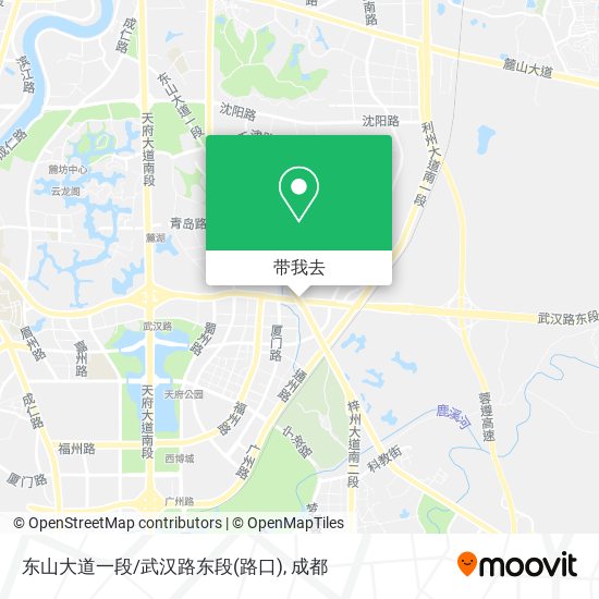 东山大道一段/武汉路东段(路口)地图