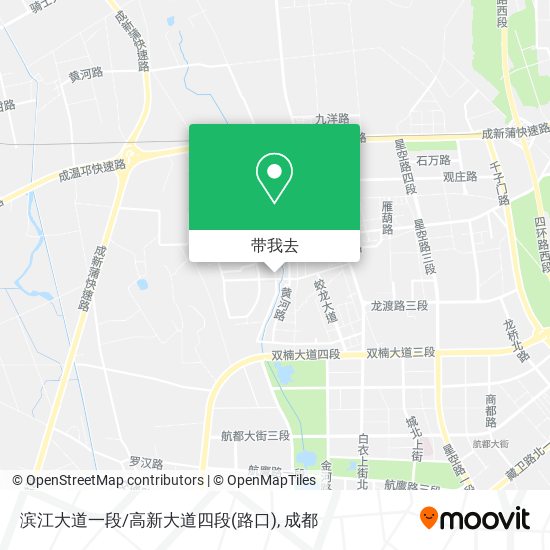 滨江大道一段/高新大道四段(路口)地图