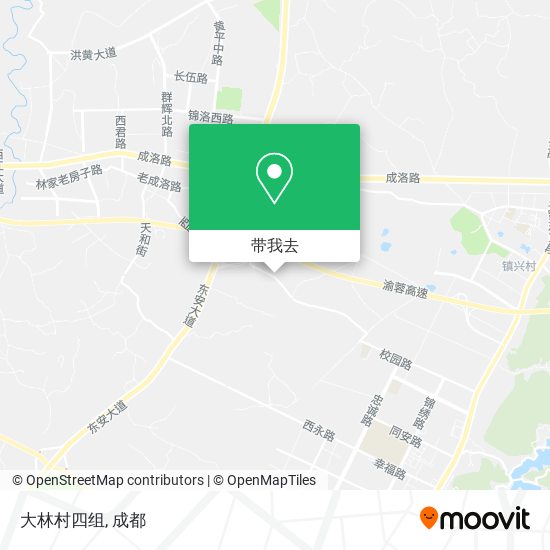 大林村四组地图