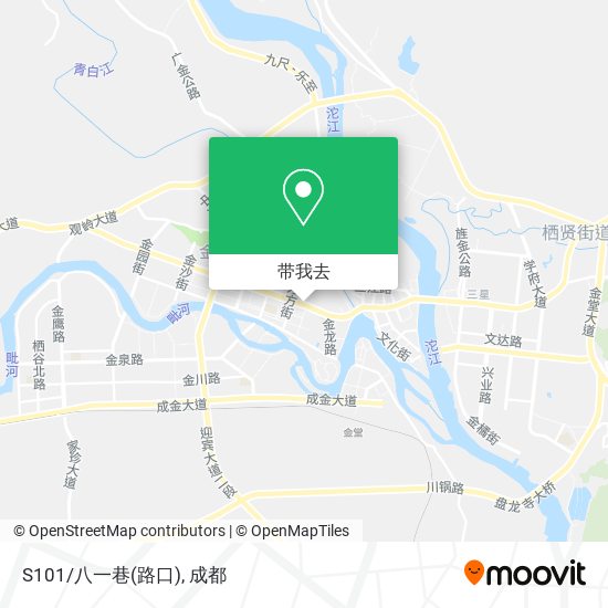 S101/八一巷(路口)地图