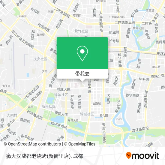 瘾大汉成都老烧烤(新街里店)地图
