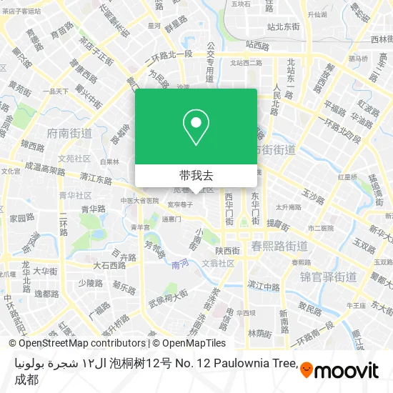 ال١٢ شجرة بولونيا 泡桐树12号 No. 12 Paulownia Tree地图