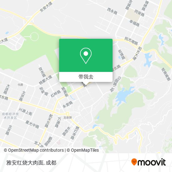 雅安红烧大肉面地图