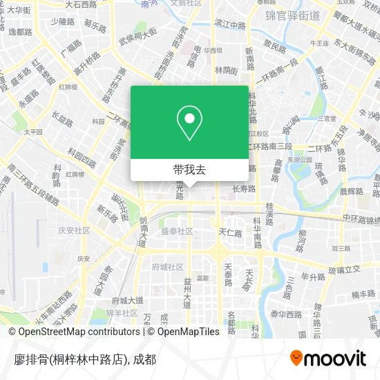 廖排骨(桐梓林中路店)地图