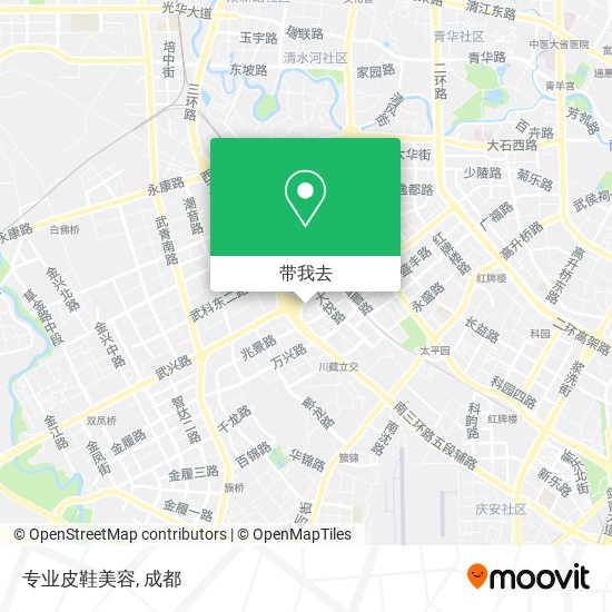专业皮鞋美容地图