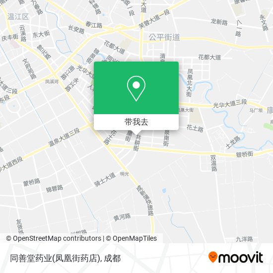 同善堂药业(凤凰街药店)地图